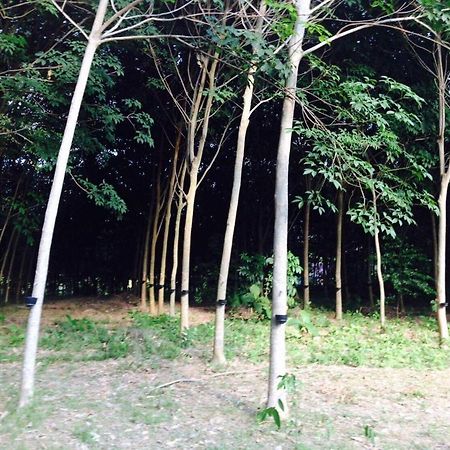 Mr Bao Homestay & Bungalows Koh Yao Yai Eksteriør billede