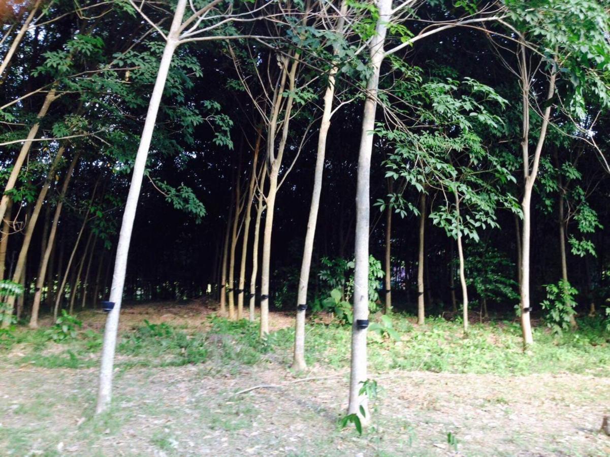 Mr Bao Homestay & Bungalows Koh Yao Yai Eksteriør billede