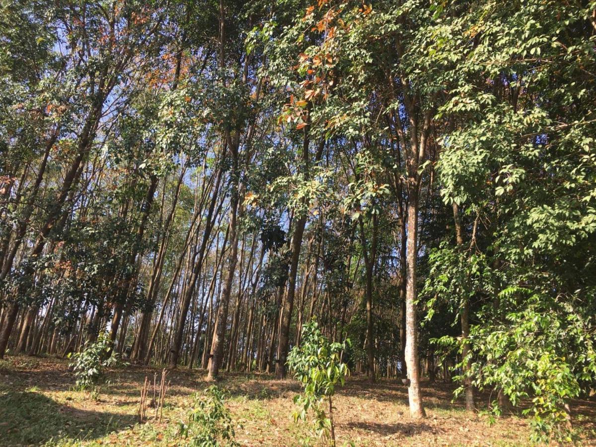 Mr Bao Homestay & Bungalows Koh Yao Yai Eksteriør billede